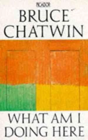 What Am I Doing Here?