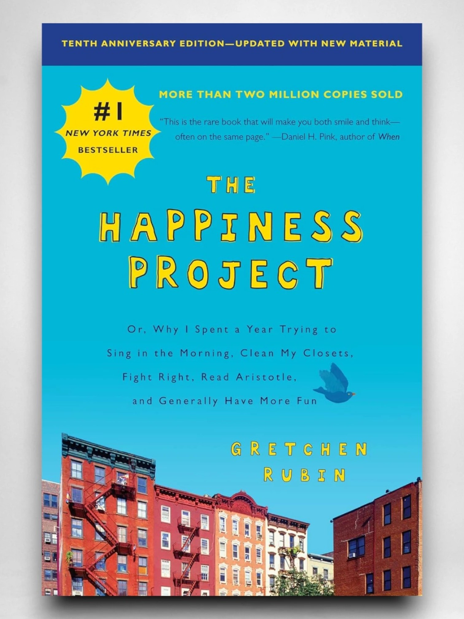 The Happiness Hypothesis