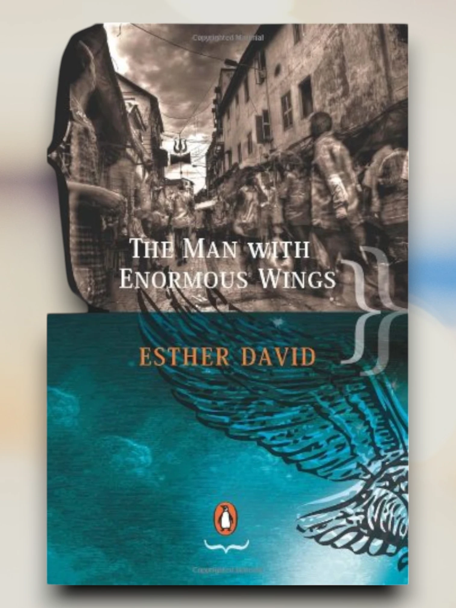 Man With Enormous Wings