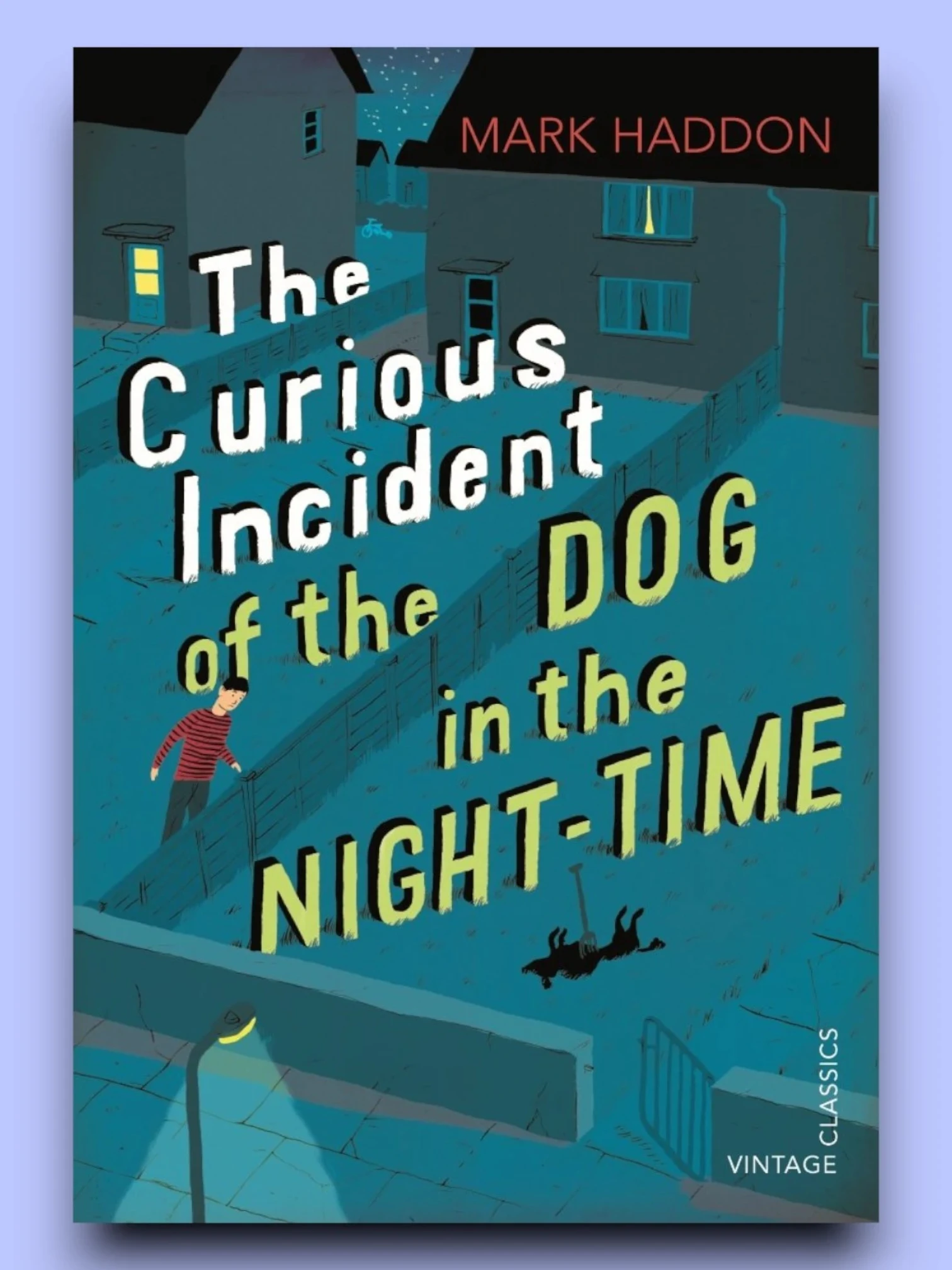 The Curious Incident of the Dog in the Night-time