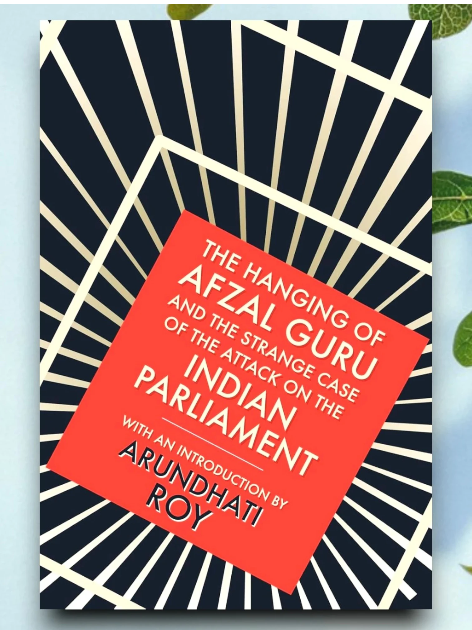 The Hanging of Afzal Guru and the Strange Case of the Attack on the Indian Parliament
