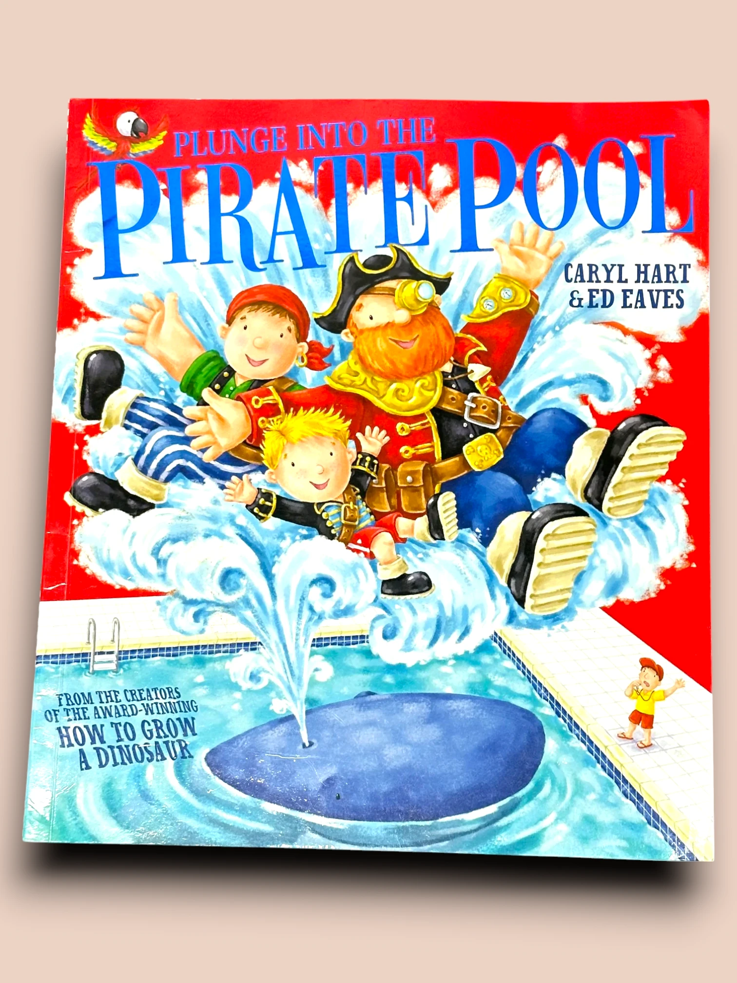 Plunge into the Pirate Pool