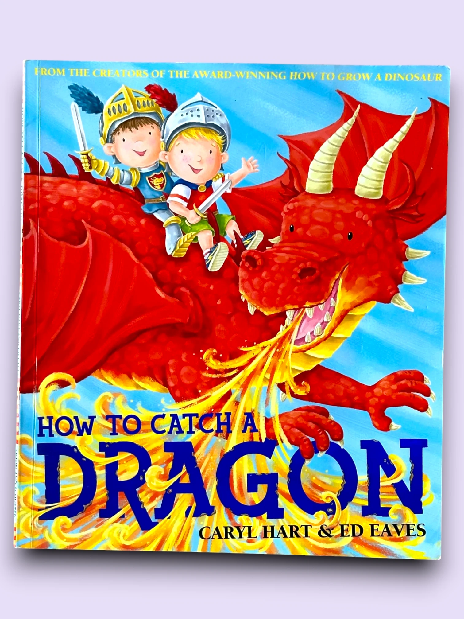 HOW TO CATCH A DRAGON