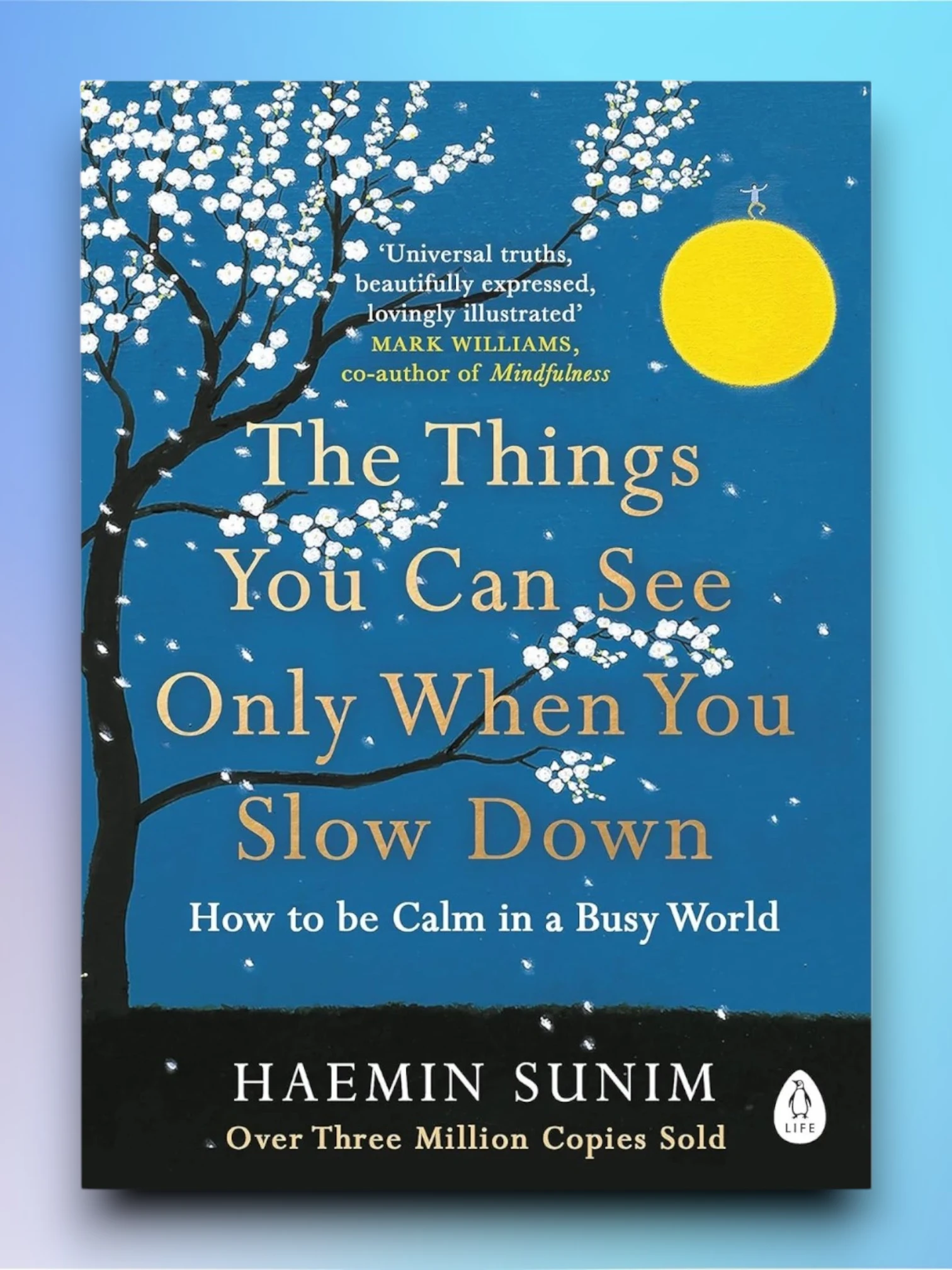 The Things You Can See Only When You Slow Down