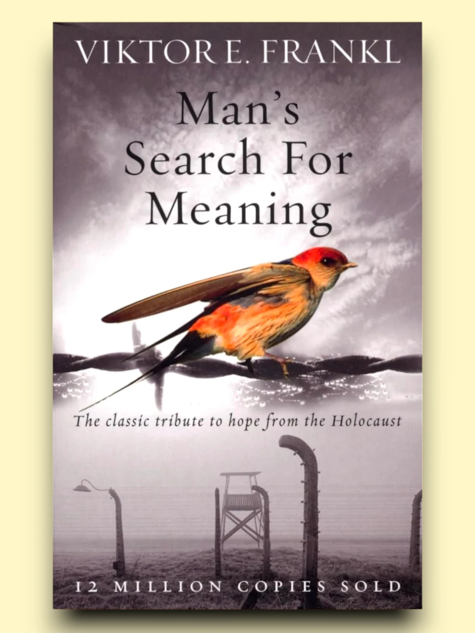 Man's Search For Meaning