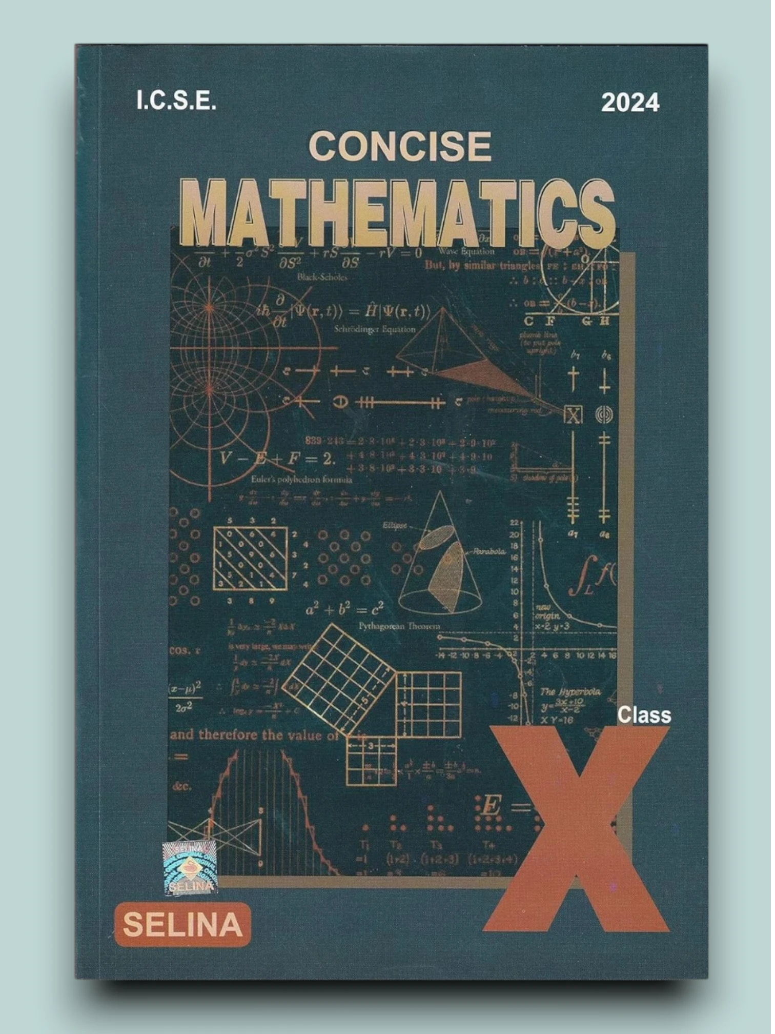 ICSE CONCISE MATHEMATICS CLASS X  2024