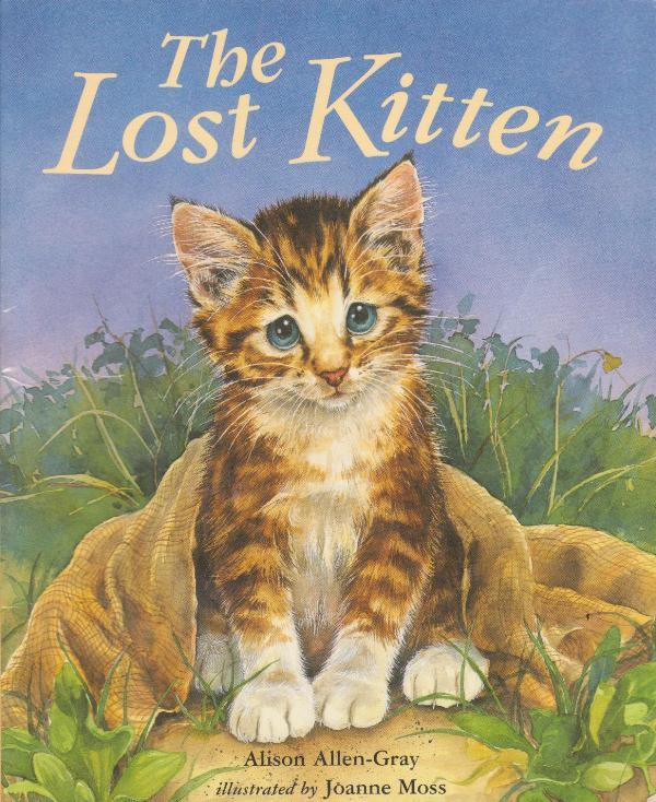 The Lost Kitten