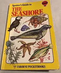The Seashore