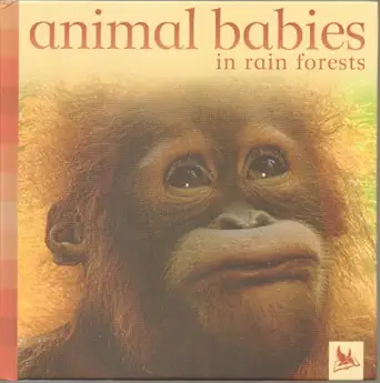 Animal Babies in Rainforests