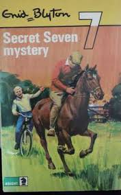 Secret Seven Mystery