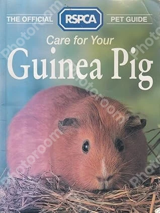 Care for Your Guinea Pig (Official RSPCA Pet Guides)
