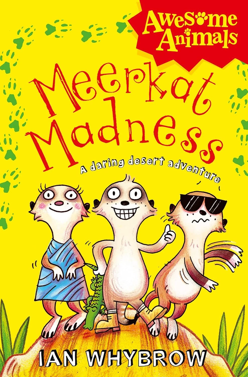 Meerkat Madness: Introductory Pupil Book