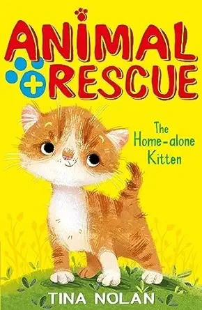 The Home-alone Kitten