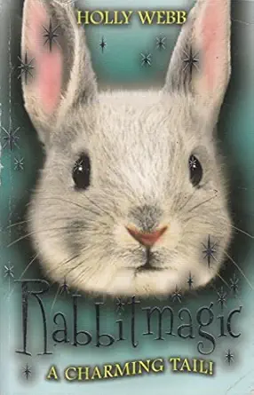Rabbitmagic
