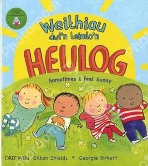 Weithiau Dwi'n Teimlo'n Heulog/Sometimes i Feel Sunny