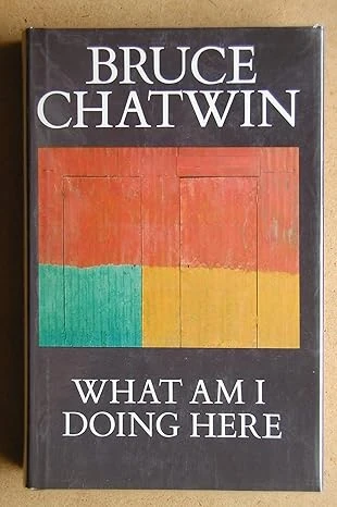 WHAT AM I DOING HERE