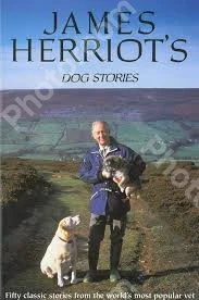 James Herriot’S Dog Stories