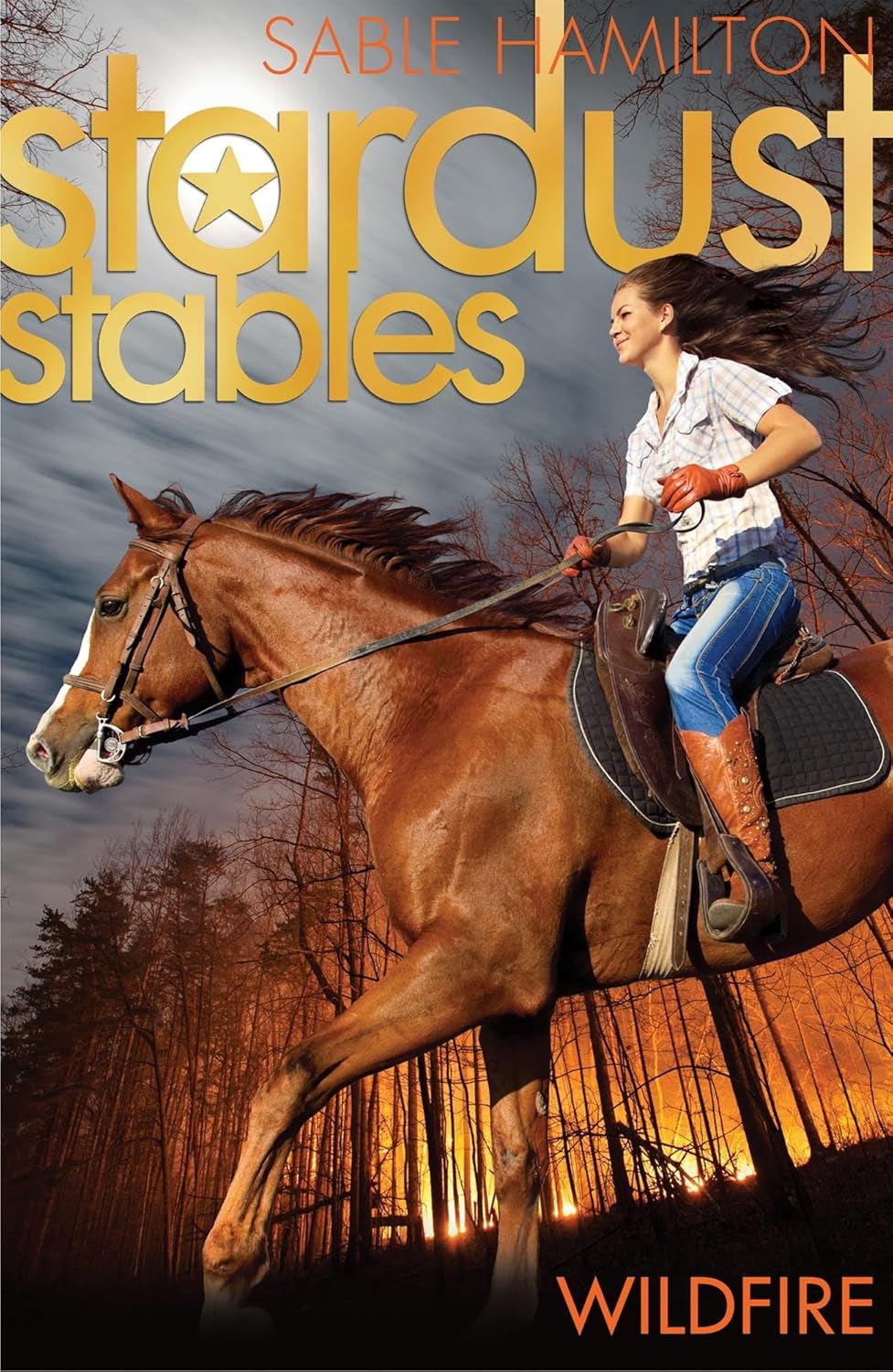 Stardust Stables