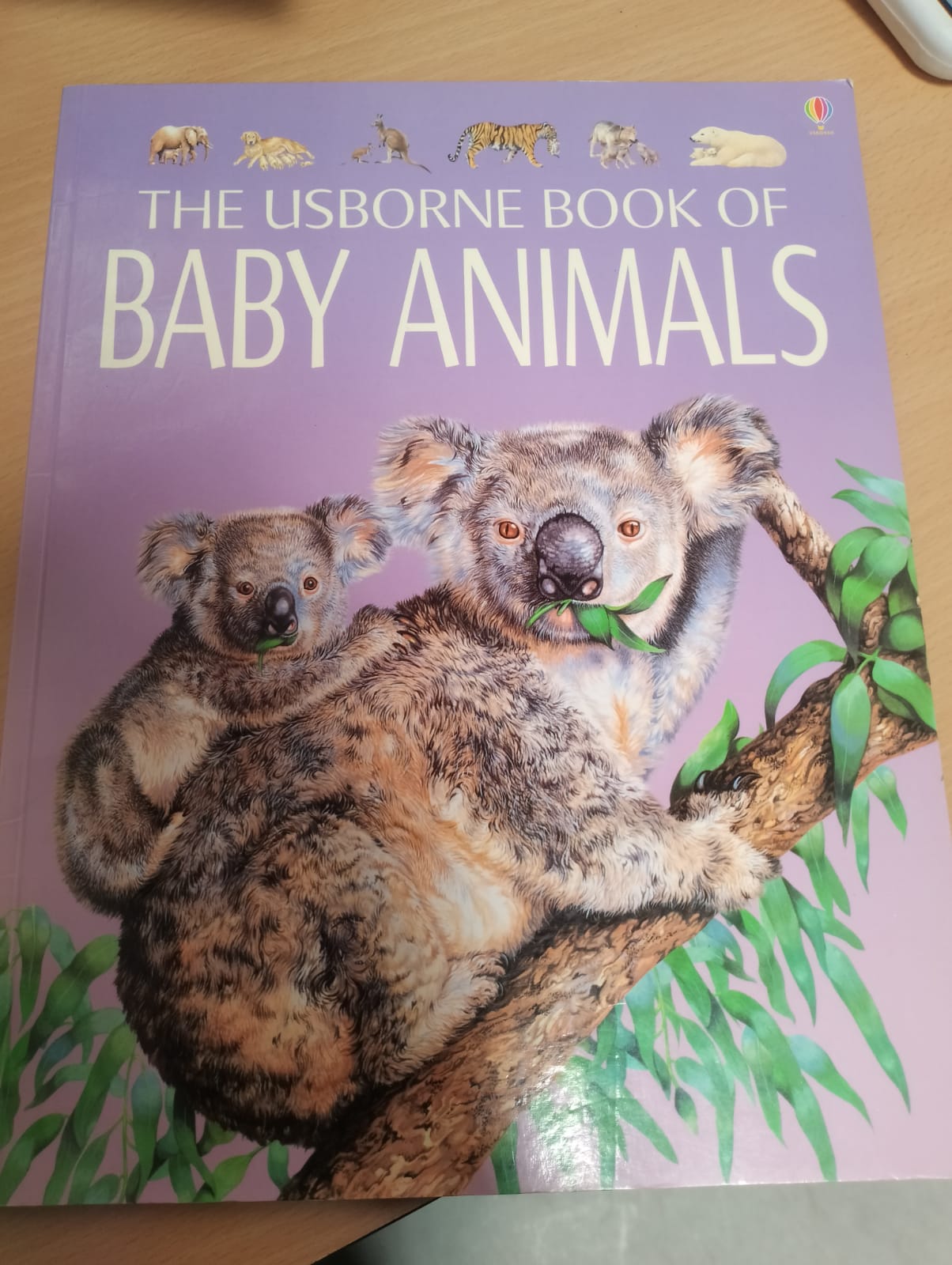 The Usborne Book of Baby Animals