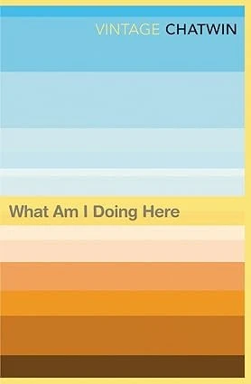 What Am I Doing Here? (Vintage classics)