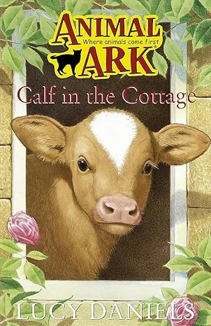 Calf In The Cottage