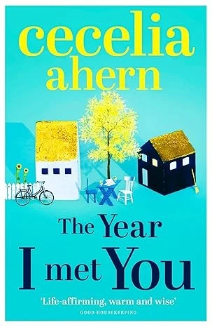 The Year I Met You