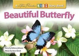 Beautiful Butterfly