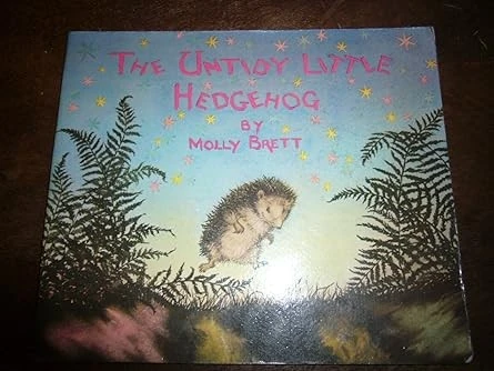 The Untidy Little Hedgehog